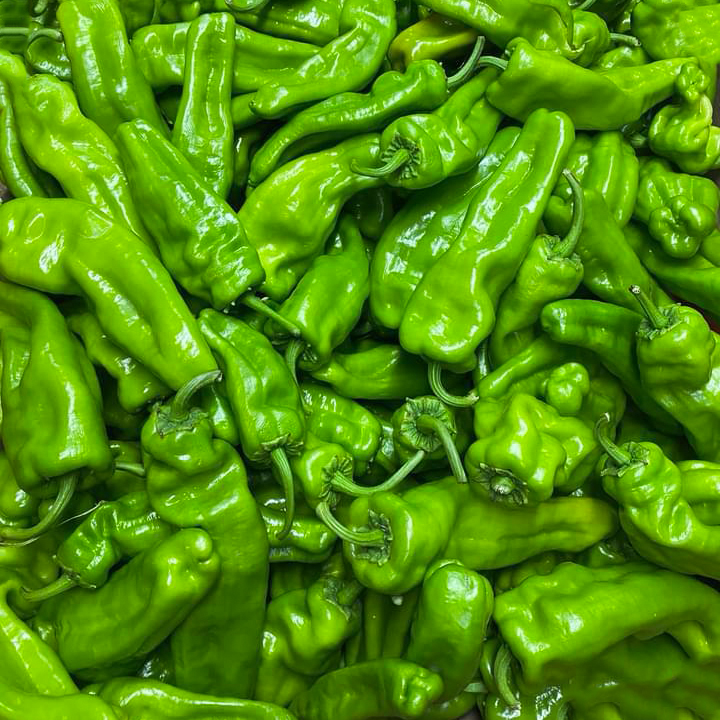 Birecik Üç Burun Biberi